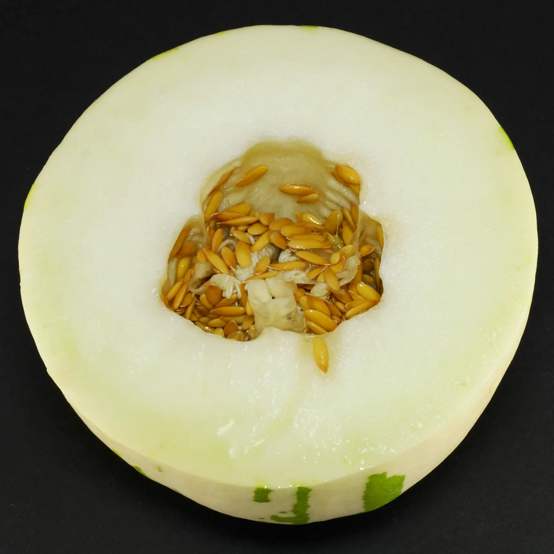 Snowball Melone