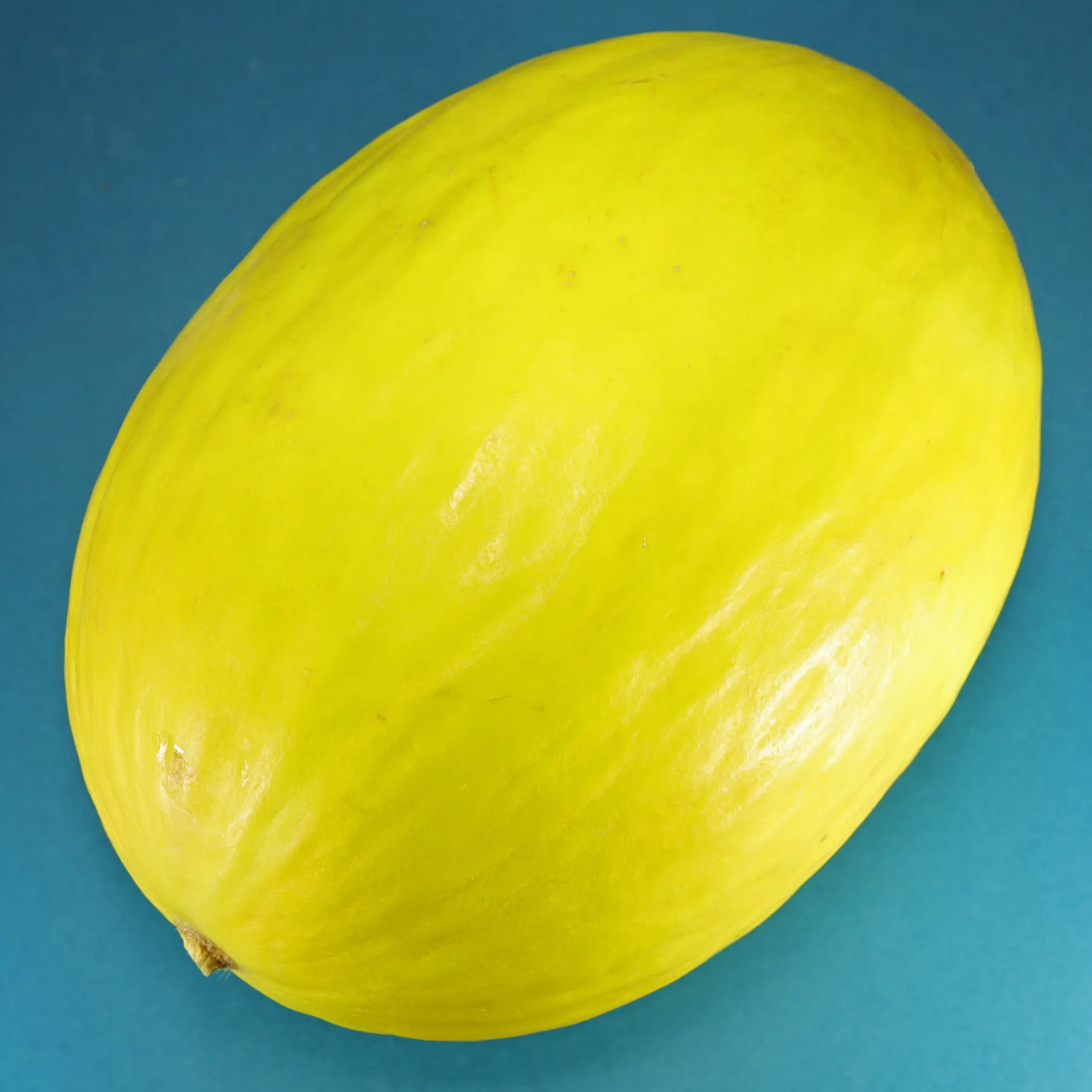 Kanarische Melone